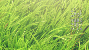 Houseki no Kuni (TV)